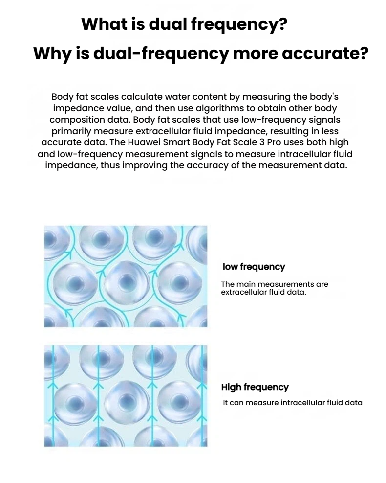 HUAWEI Scale 3 Pro dual-frequency body analysis feature image