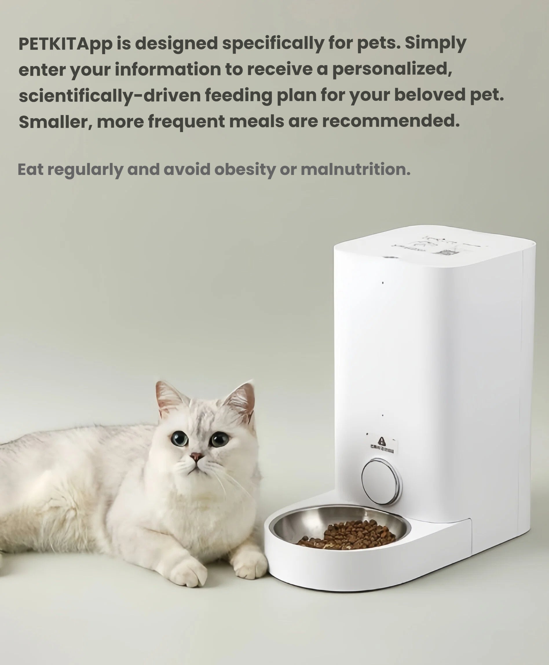 White cat resting beside Petkit Fresh Element Mini automatic feeder — personalized feeding plan supported by PETKIT App to prevent obesity and malnutrition