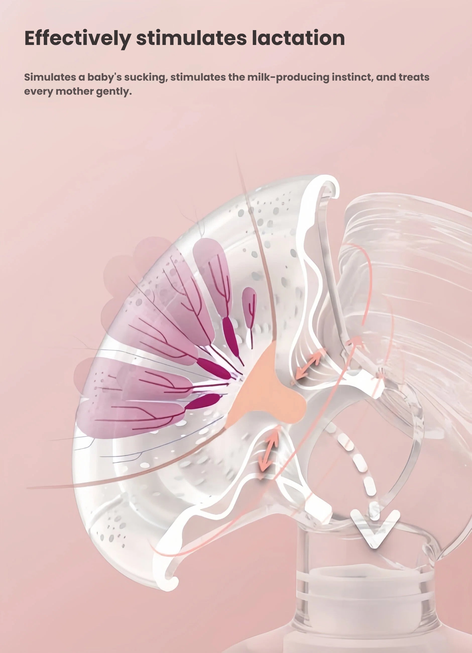 Illustration showing how Philips Avent breast pump mimics baby’s suckling to stimulate milk production gently. Arrows depict milk flow from ducts to bottle via soft silicone flange.