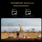 Side-by-side comparison showing 154-inch (4 m) and 385-inch (10 m) virtual screens achievable with XREAL Air 2 Ultra and Beam Pro.