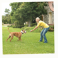 PetSafe Stay + Play Wireless Fence Add-A-Dog Receiver Collar package image